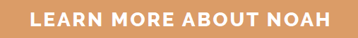 Learn More From Noah CTA